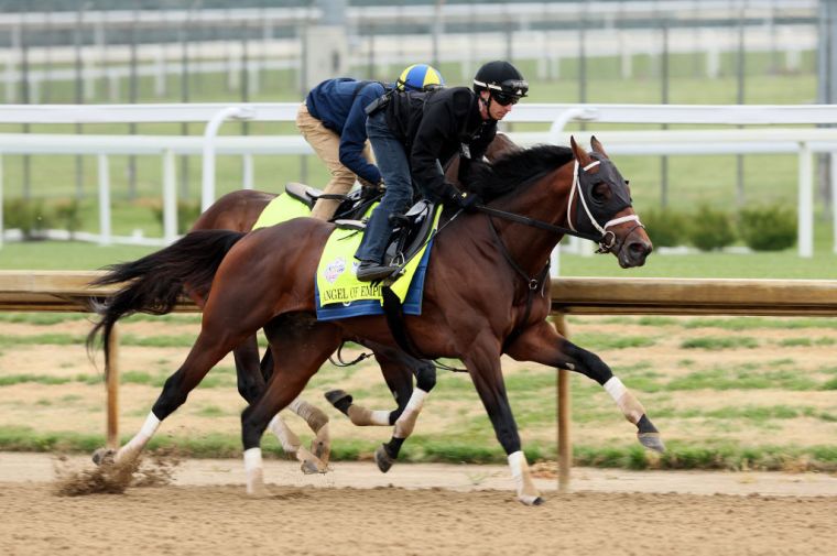 Angel Of Empire (8/1 odds)