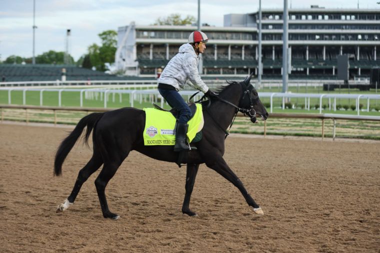 Mandarin Hero (20/1 odds)