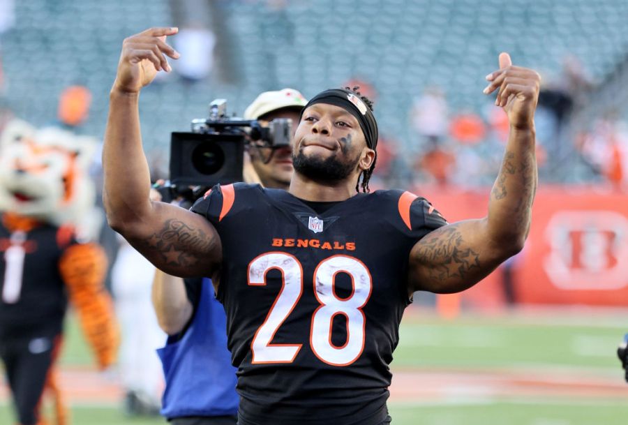 Carolina Panthers v Cincinnati Bengals