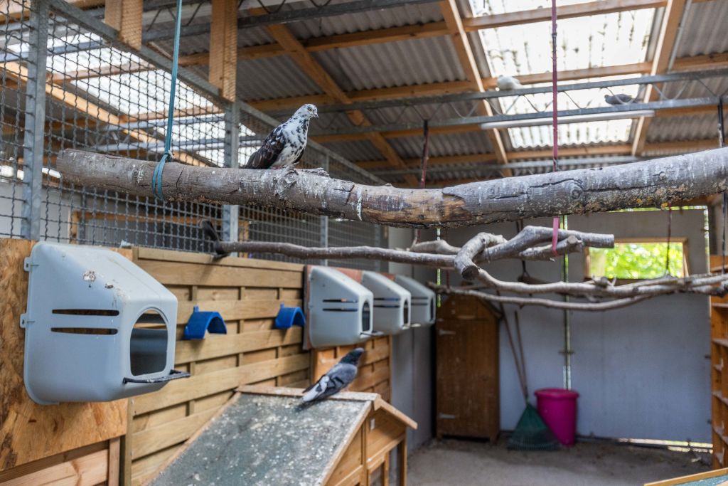 Animal shelter Lahr