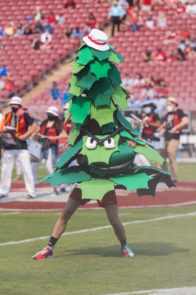 The Stanford tree mascot