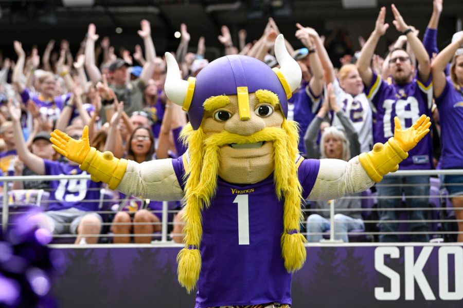 NFL: AUG 26 Preseason - Cardinals at Vikings