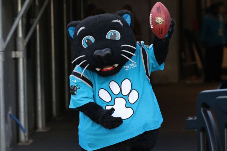 Carolina Panthers – Sir Purr