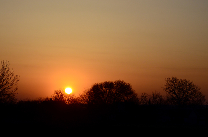 Silhouette of trees against sky during sunset