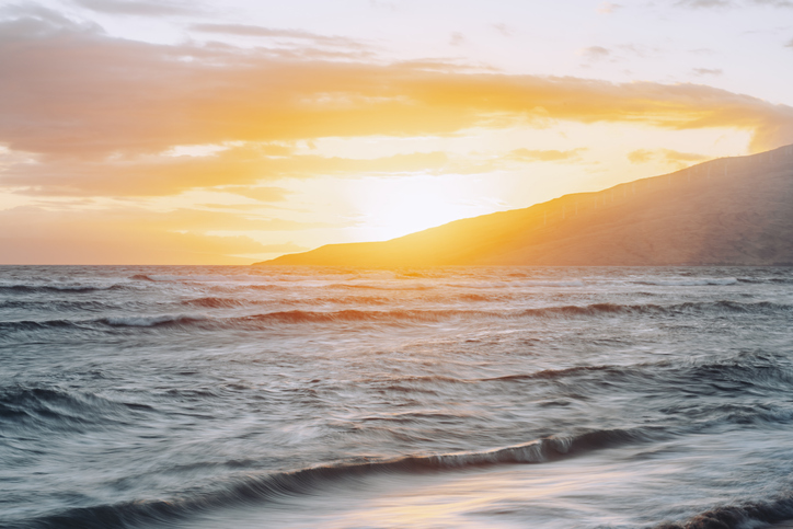 Muhammad Ali Sports Humanitarian Award - Maui Surfing Community