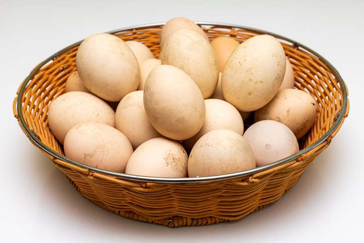 natural unwashed country egg lies in a basket