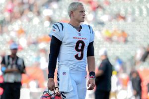 Cincinnati Bengals +1400