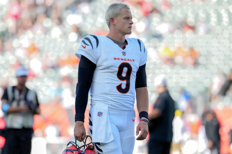 Cincinnati Bengals +1400