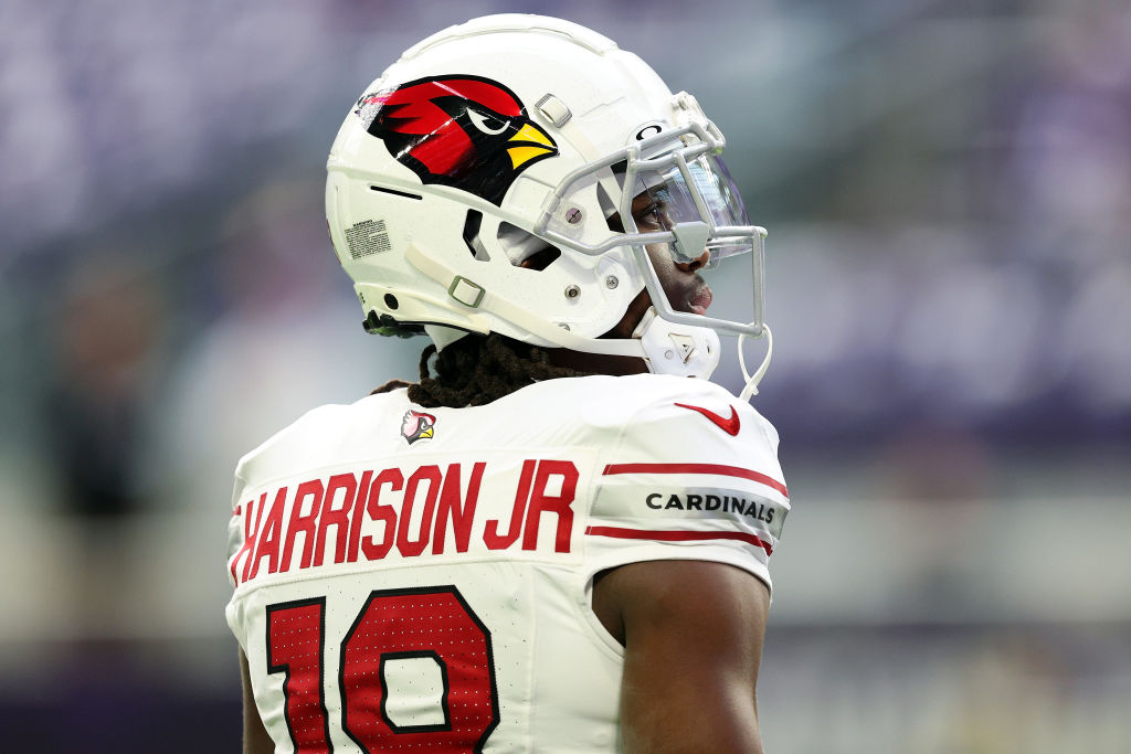 Arizona Cardinals v Minnesota Vikings