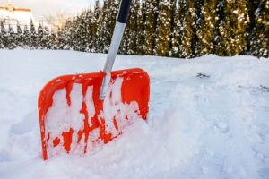Orange Snow Shovel in Fresh Snow with Evergreen Trees in Background