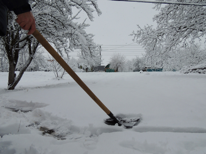 hand with shovel against snow cover under snow-covered trees