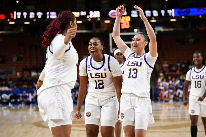 Bracket Beauties
