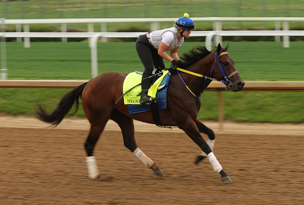 151th Kentucky Derby - Previews