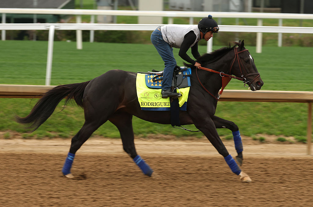 151th Kentucky Derby - Previews